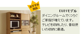 EU21モデル