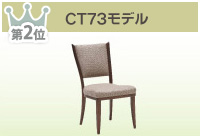 CT73モデル