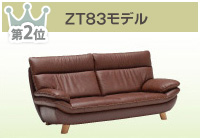 ZT83モデル
