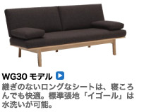 WG30モデル
