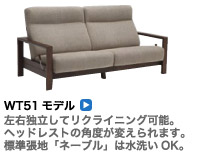 WT51モデル