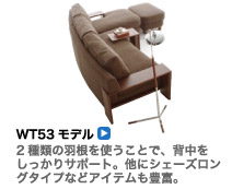 WT53モデル