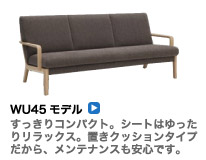 WU45モデル