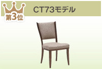 CT73モデル