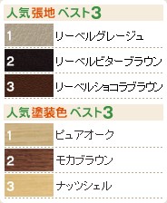 人気張地・塗装色ベスト3
