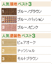 人気張地・塗装色ベスト3