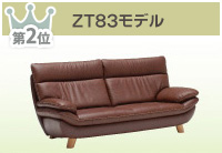 ZT83モデル