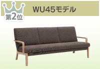WU45モデル