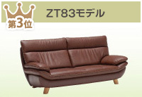 ZT83モデル