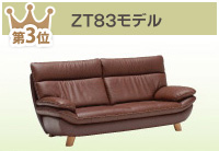 ZT83モデル