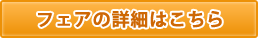 フェアの詳細
