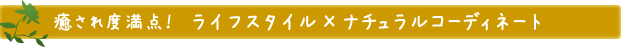 癒され度満点！ライフスタイル×ナチュラルコーディネート