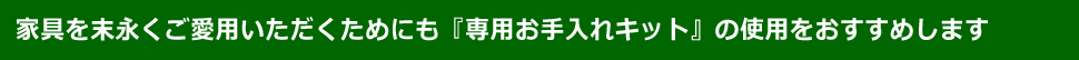 末永くご愛用いただくためにも『専用お手入れキット』の使用をおすすめします