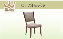 CT73モデル