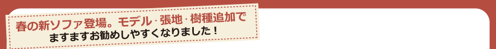 春の新ソファ登場。モデル・張地・樹種追加でますますお勧めしやすくなりました！