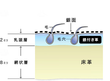 銀付き革