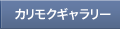 カリモクギャラリー