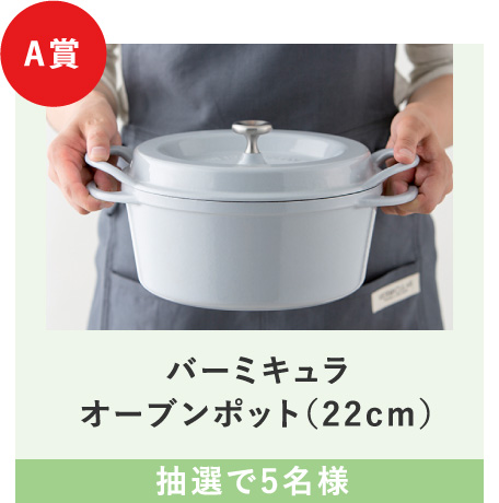 A賞 バーミキュラ オーブンポット（22cm）