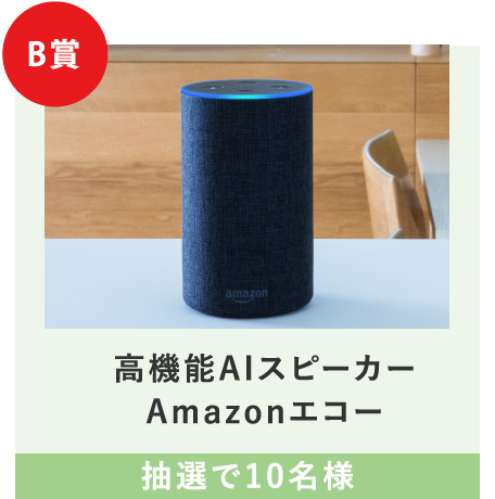 B賞 高機能AIスピーカー Amazonエコー