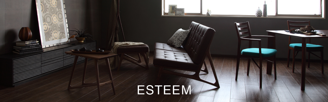 esteem