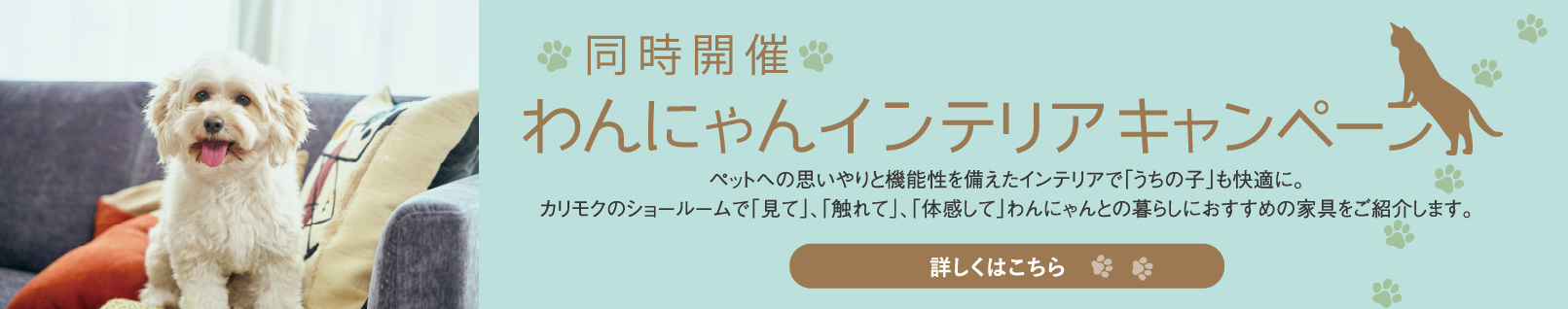 同時開催 わんにゃんインテリアキャンペーン ペットへの思いやりと機能性を備えたインテリアで「うちの子」も快適に。カリモクのショールームで「見て」、「触れて」、「体感して」わんにゃんとの暮らしにおすすめの家具をご紹介します。