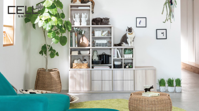 CELL TAS セルタス