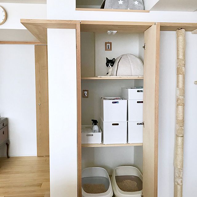 コラム 猫 との暮らし お悩み解決 Roomclipユーザーさんのアイデア カリモク家具からのうれしい提案をチェックしよう 公式 カリモク家具ホームページ