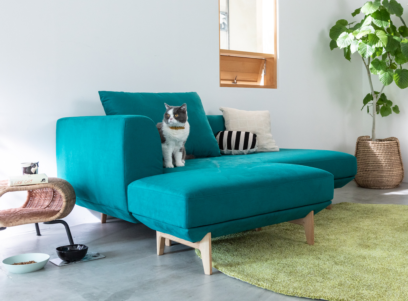 コラム 猫 との暮らし お悩み解決 Roomclipユーザーさんのアイデア カリモク家具からのうれしい提案をチェックしよう 公式 カリモク家具ホームページ