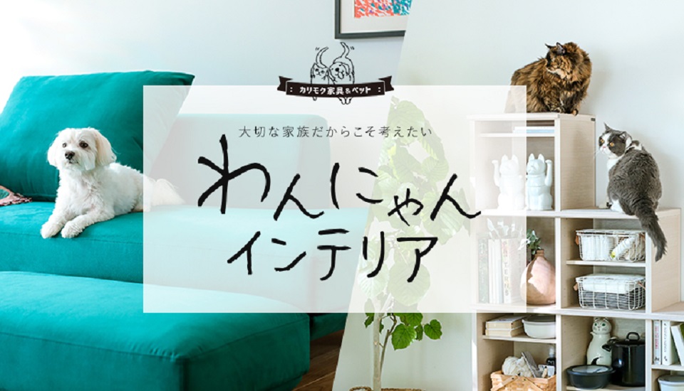 コラム 猫 との暮らし お悩み解決 Roomclipユーザーさんのアイデア カリモク家具からのうれしい提案をチェックしよう 公式 カリモク家具ホームページ コラム 猫 との暮らし お悩み解決 Roomclipユーザーさんのアイデア カリモク家具からのうれしい提案をチェックしよう 公式 カリモク家具ホームページ