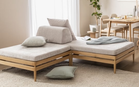 わんちゃんにおすすめディナミカ(旧ラムース)｜カリモク家具＆ペット