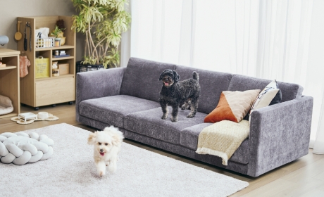 わんにゃんの将来のために｜カリモク家具＆ペット｜【公式】カリモク