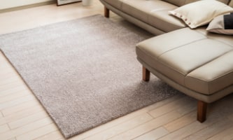 ねこちゃんにおすすめディナミカ(旧ラムース)｜カリモク家具＆ペット